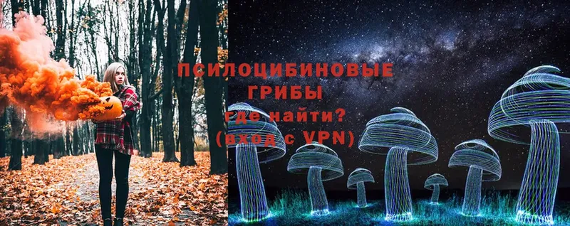 kraken зеркало  Глазов  Псилоцибиновые грибы Cubensis 